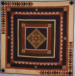 2011 Marathon Quilters Guild Raffle Quilt 